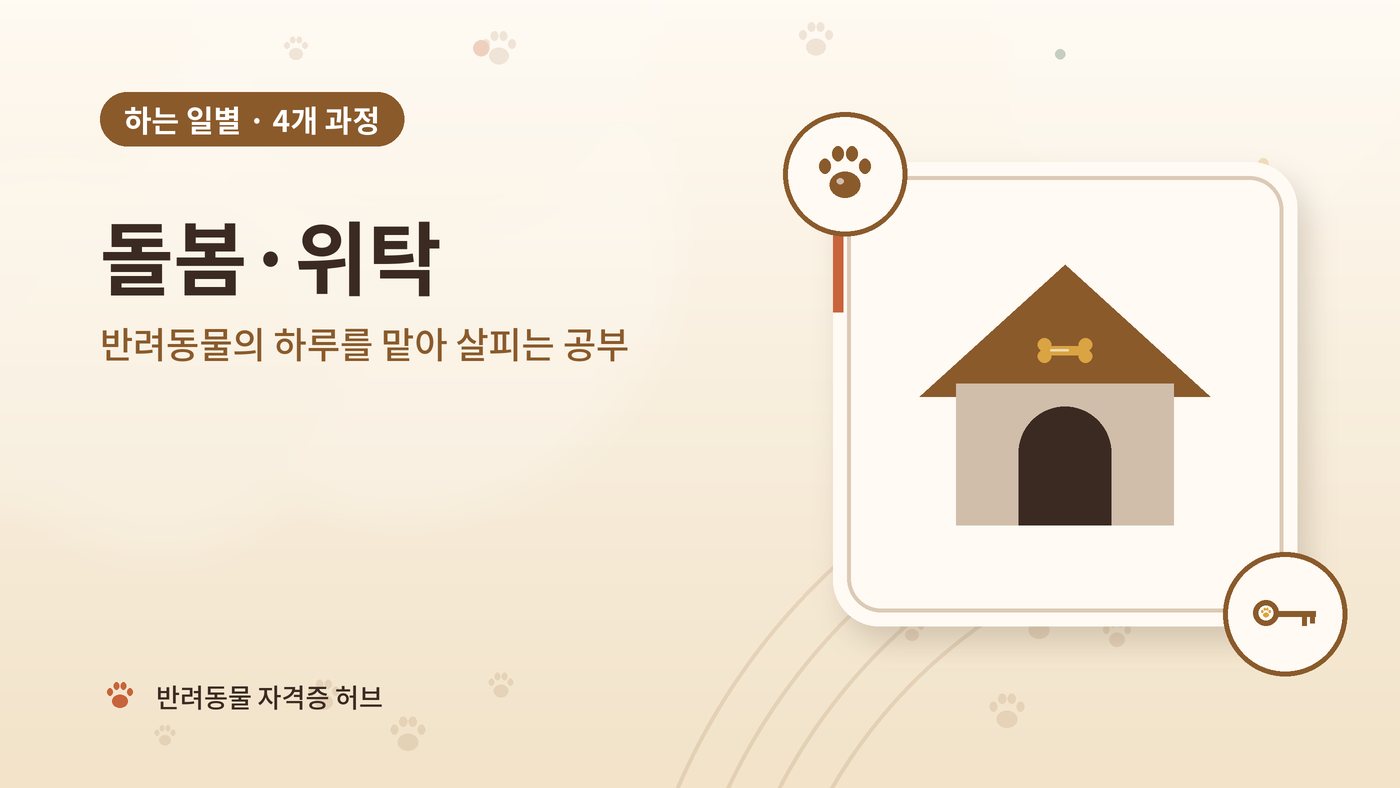 돌봄·위탁 갈래 과정 대표 그림