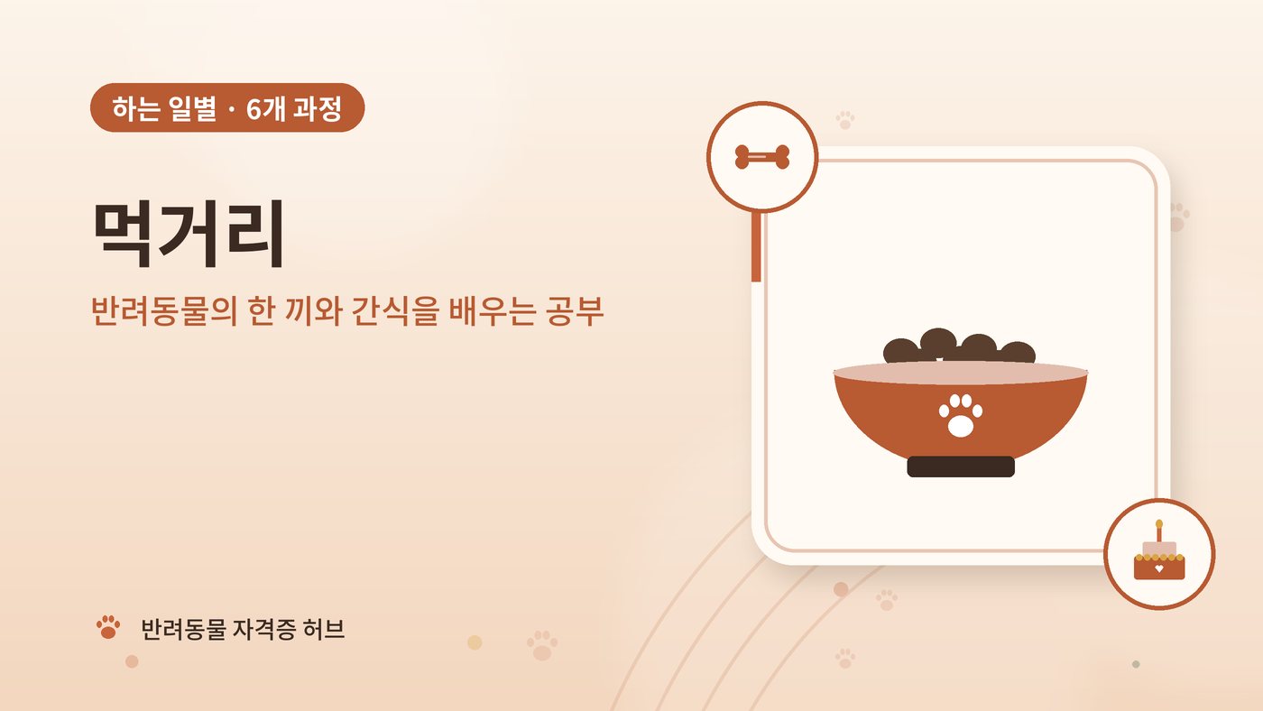 먹거리 갈래 과정 대표 그림