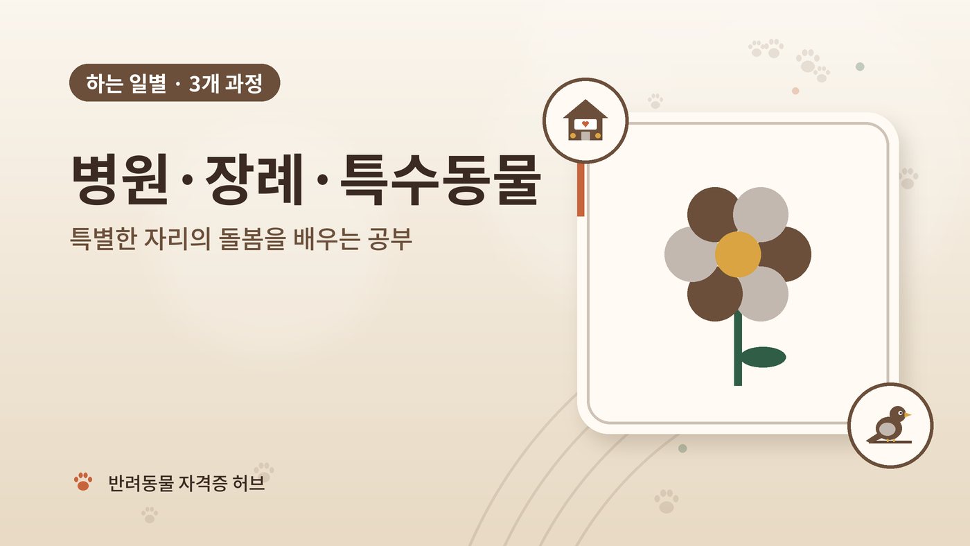 병원·장례·특수동물 갈래 과정 대표 그림