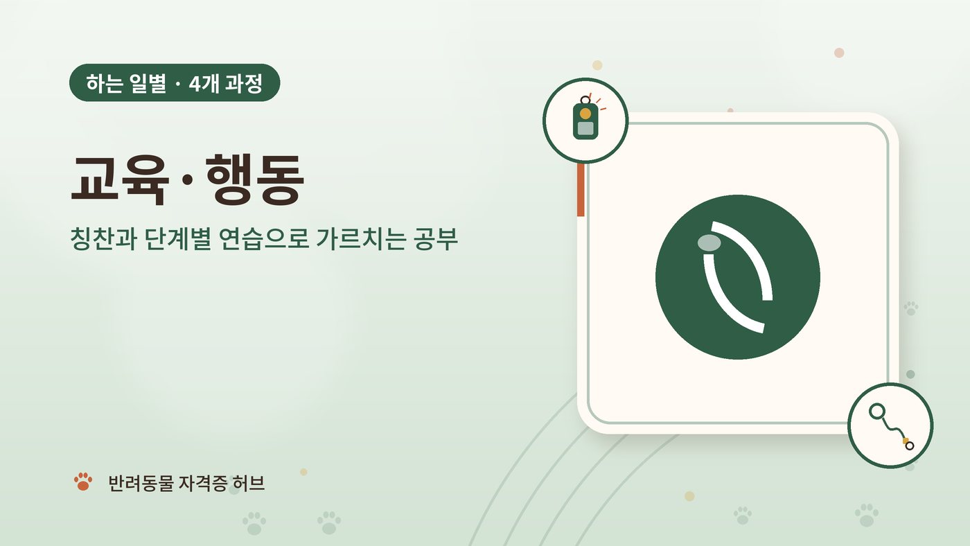 교육·행동 갈래 과정 대표 그림