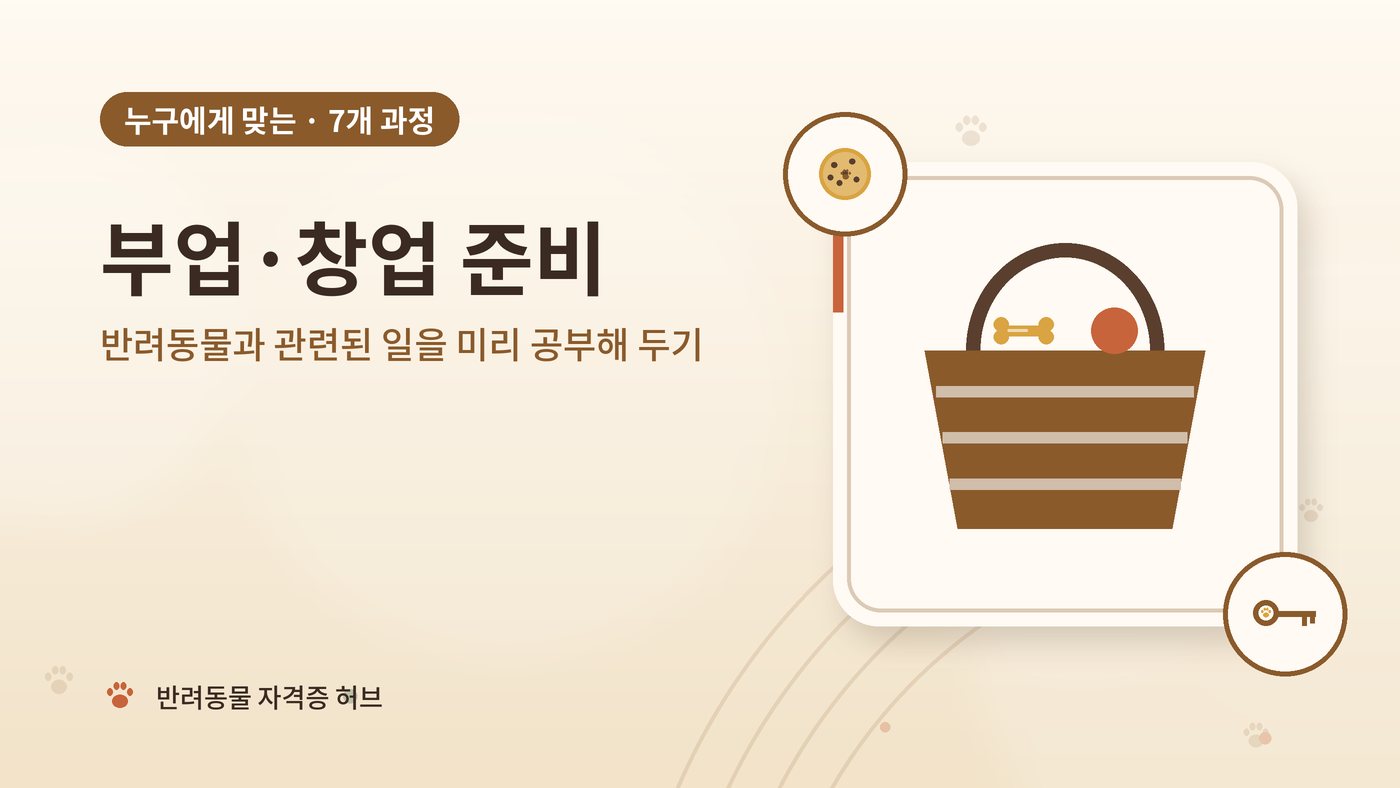 부업·창업 준비에 맞는 과정 대표 그림