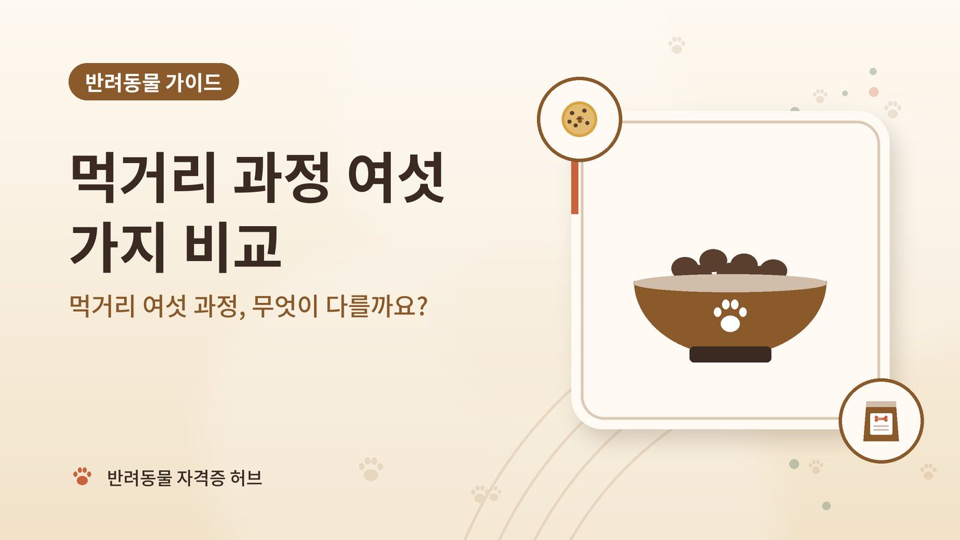 먹거리 여섯 과정, 무엇이 다를까요? 대표 그림