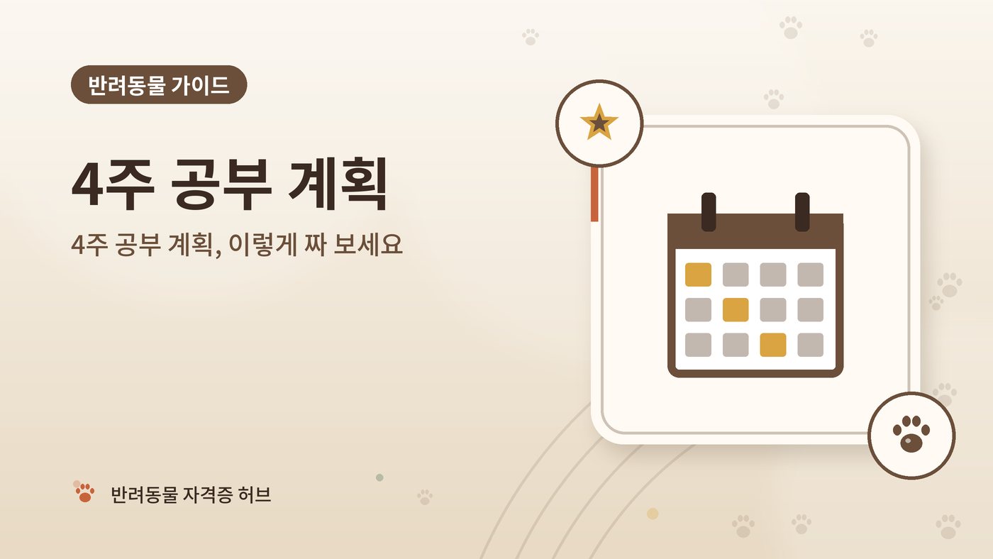 4주 공부 계획, 이렇게 짜 보세요 대표 그림